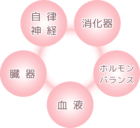 内臓、自律神経、血液、消化器、ホルモンバランスを整える施術