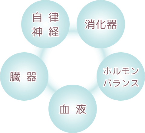 内臓、自律神経、血液、消化器、ホルモンバランスを整える施術