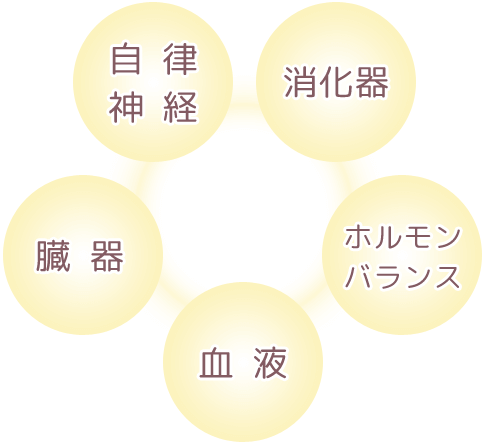 内臓、自律神経、血液、消化器、ホルモンバランスを整える施術