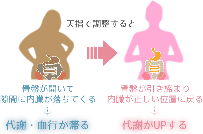 骨盤がゆがむと代謝が落ち血行が悪くなります。
